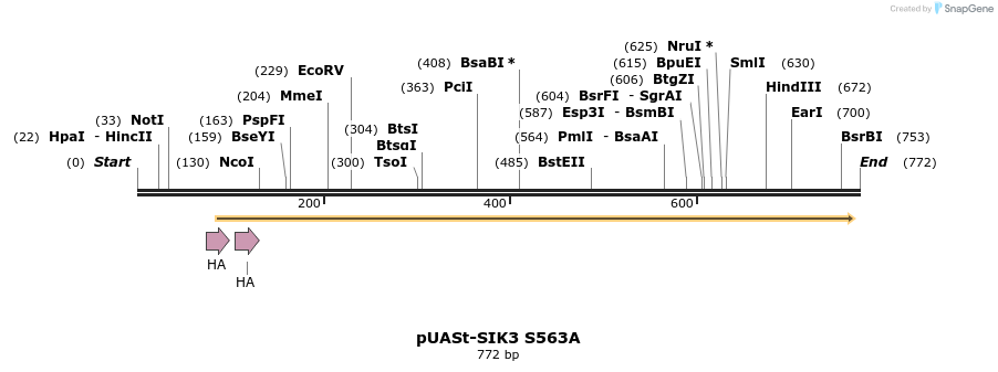 83532_map