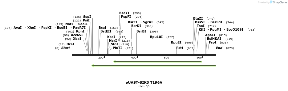 83542_map
