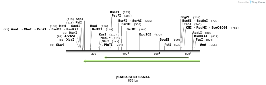 83543_map