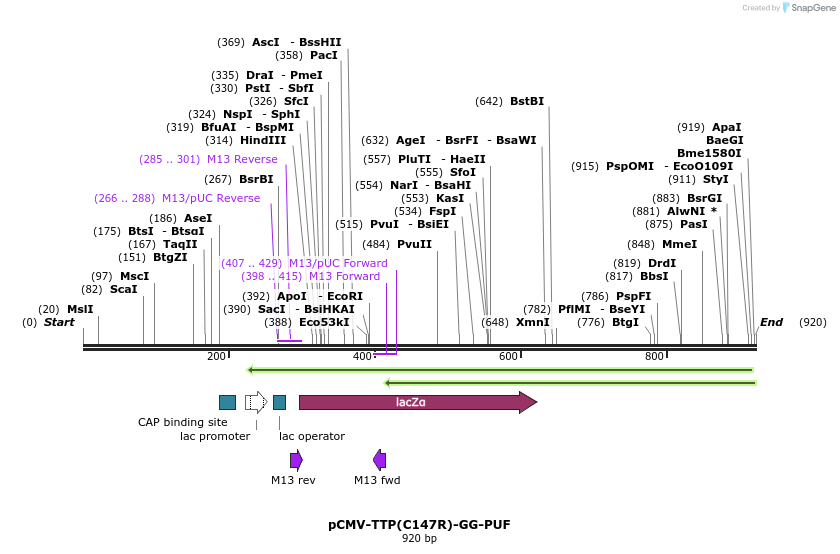 83551_map