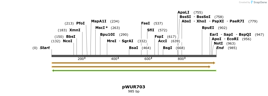 83583_map