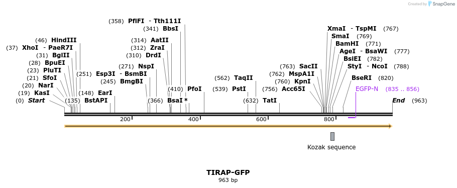 83586_map