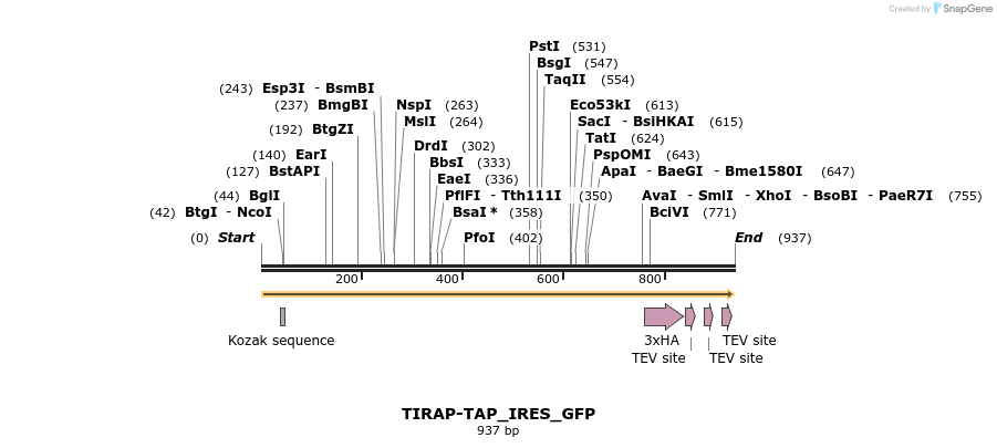 83588_map