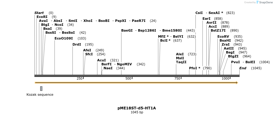 83593_map