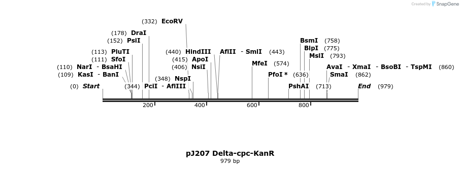 83594_map