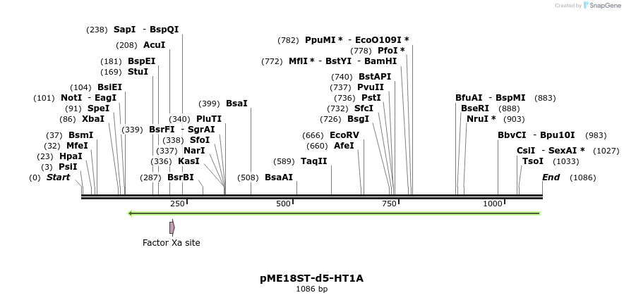 83597_map