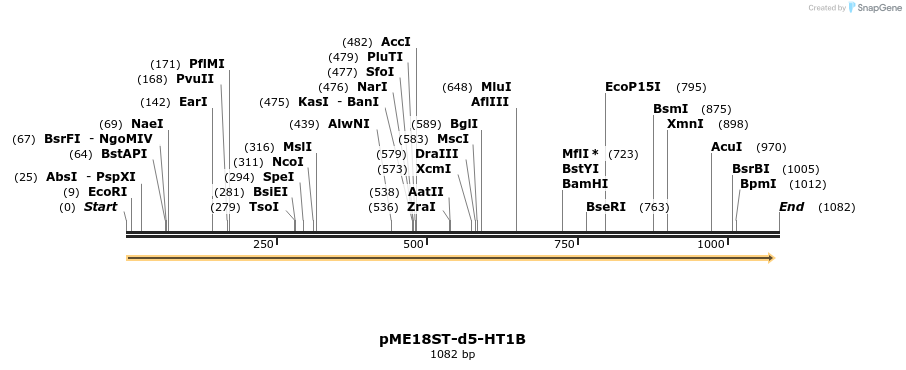 83598_map