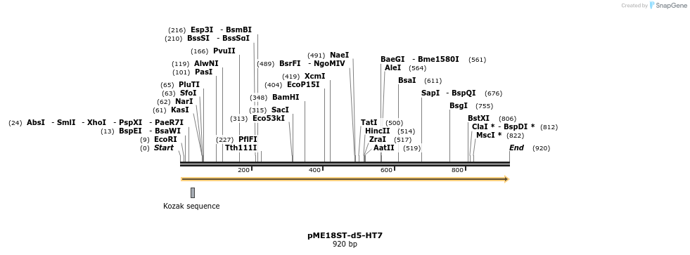 83605_map