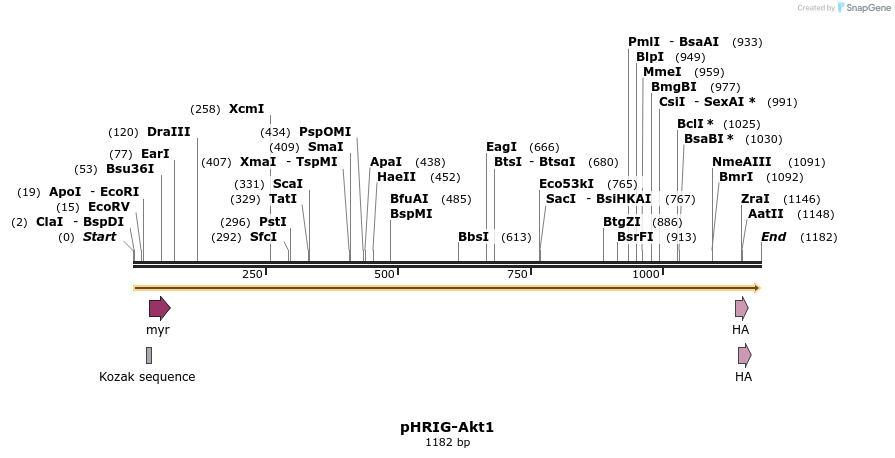 83609_map