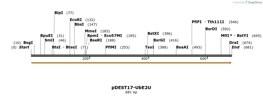 8361_map
