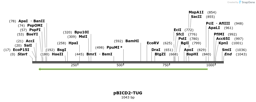 83636_map