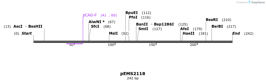 83638_map