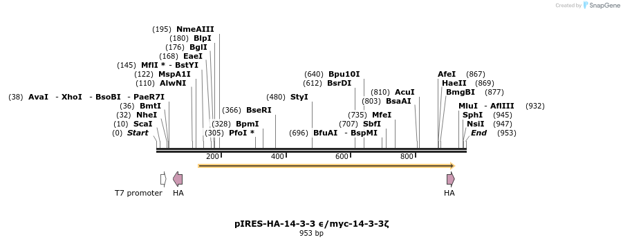 83644_map