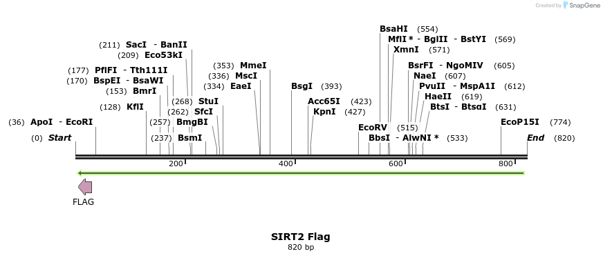 83645_map
