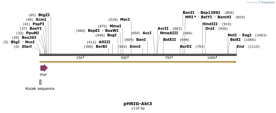 83676_map
