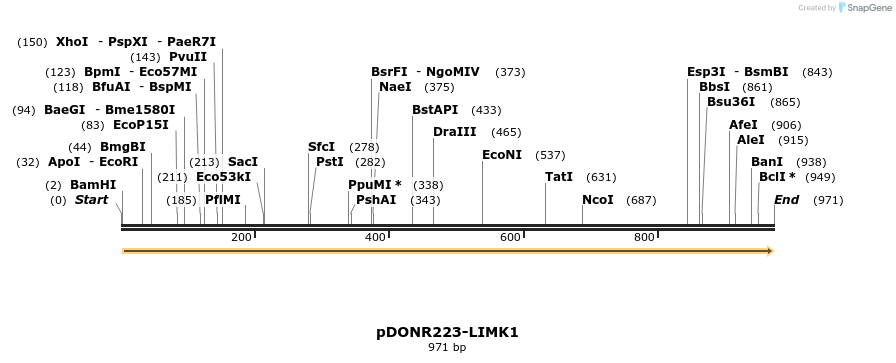 83680_map