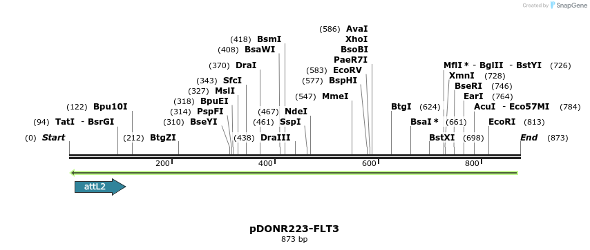 83684_map