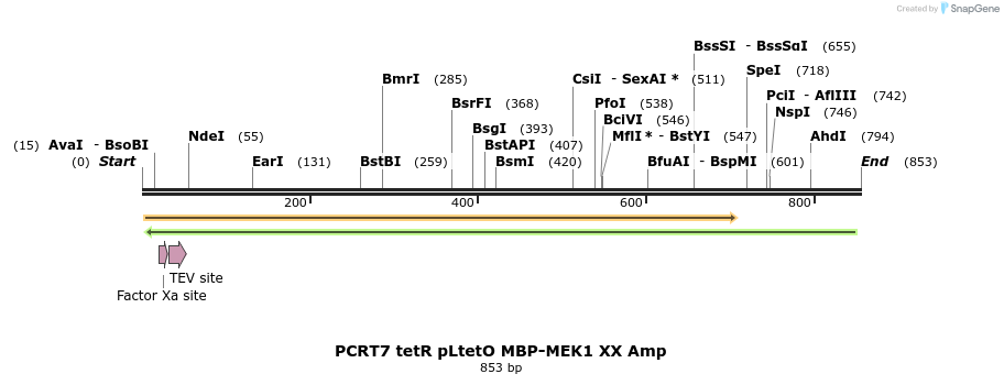 83700_map