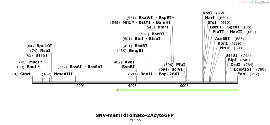 83707_map
