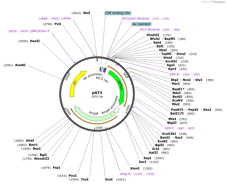 8371_map
