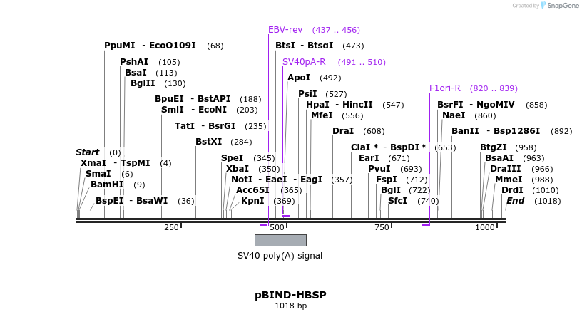 83712_map