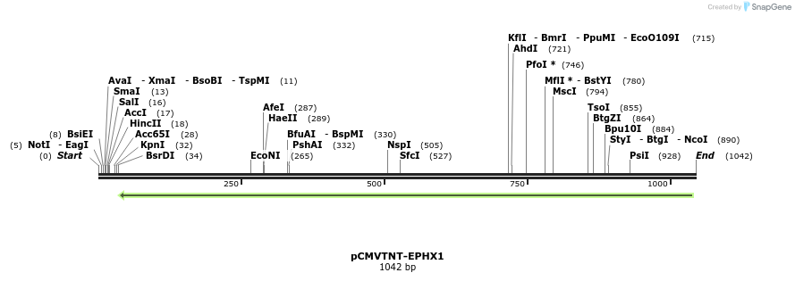 83715_map