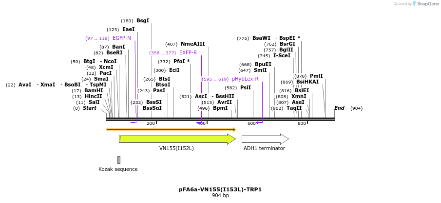 83717_map