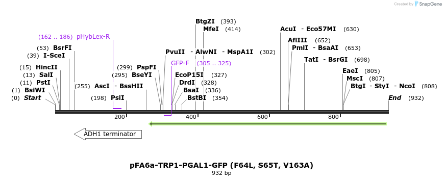 83724_map