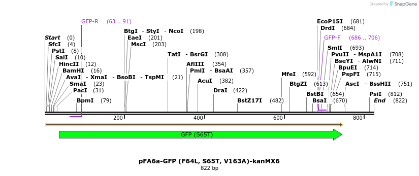 83729_map