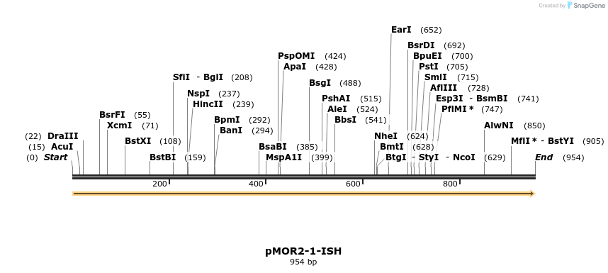 8373_map