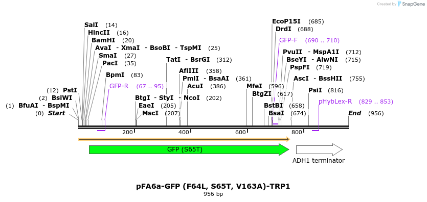83730_map