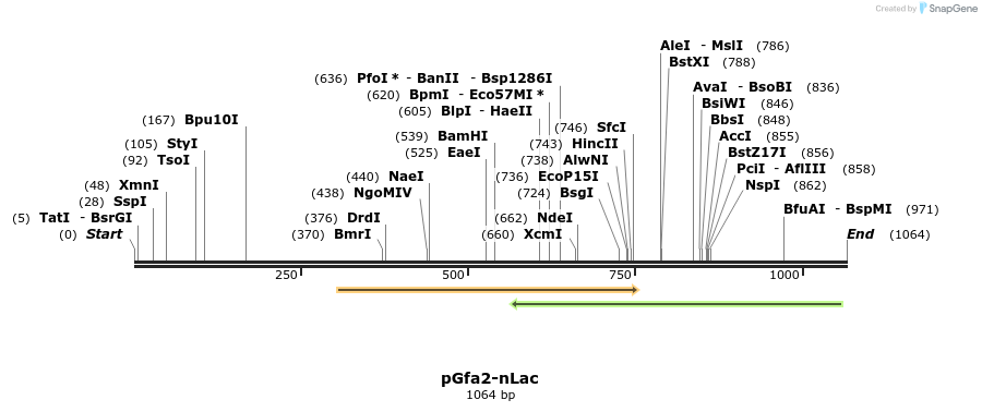 83738_map