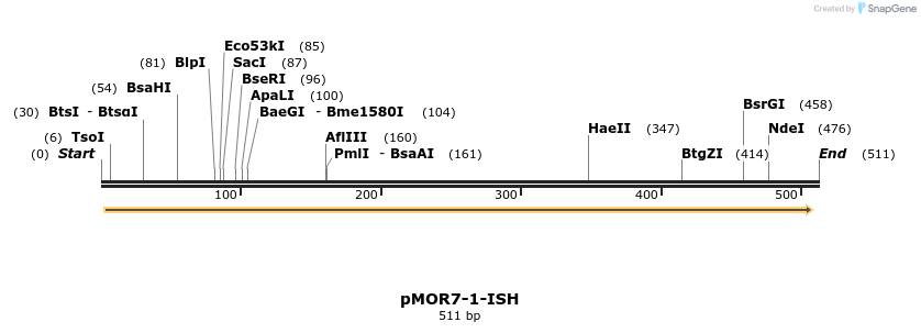 8374_map