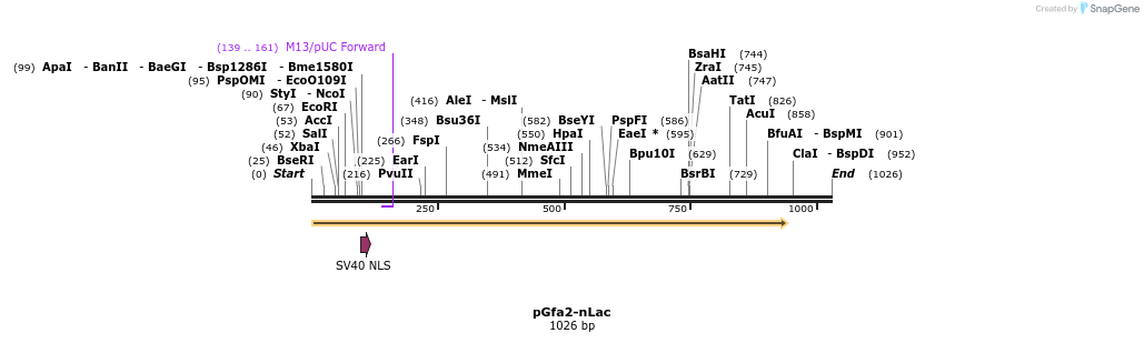 83740_map