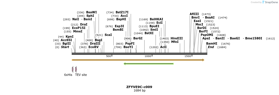 83746_map