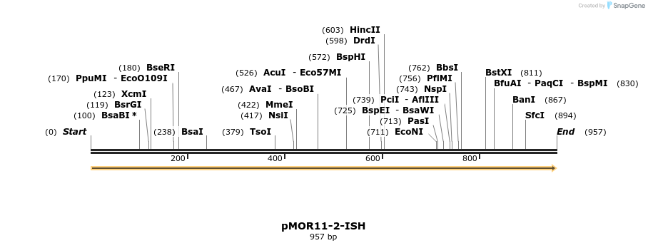 8375_map