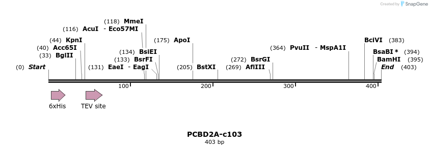 83752_map
