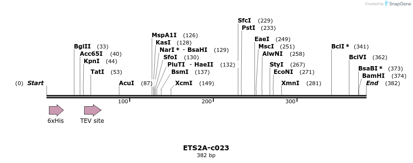 83753_map