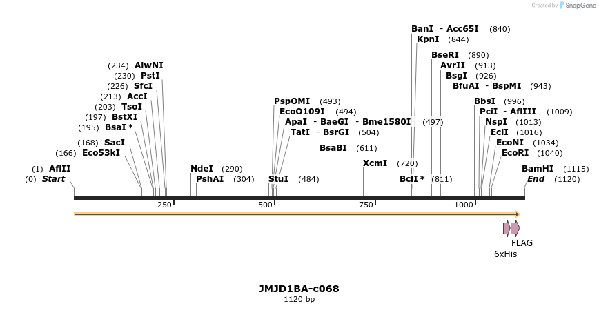 83755_map