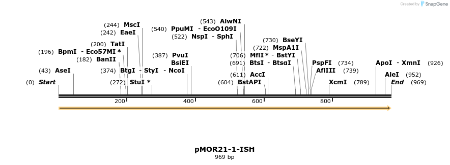 8376_map