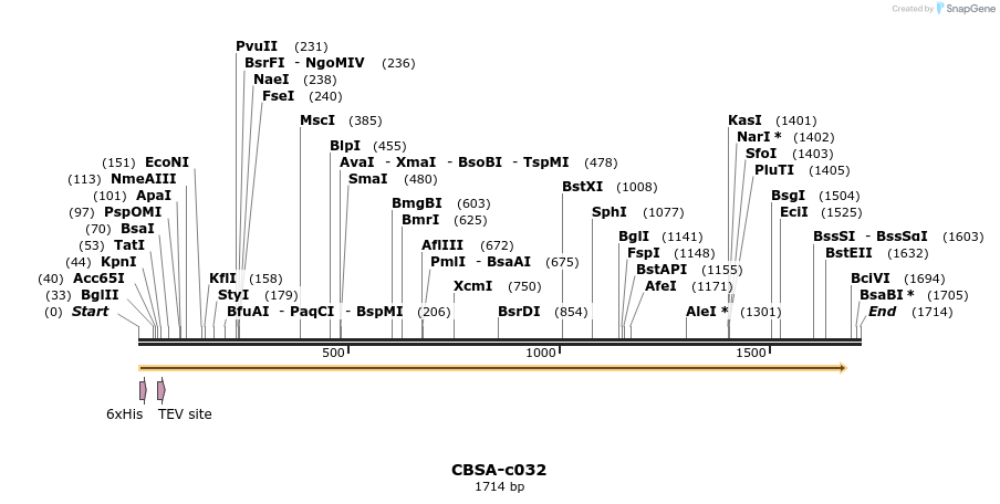 83762_map
