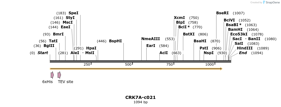83771_map