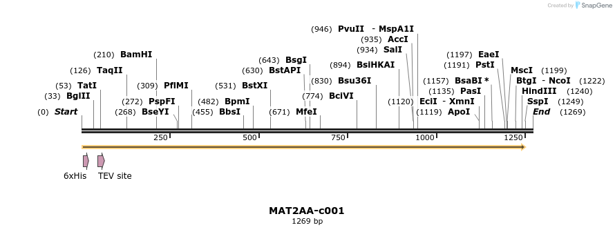 83775_map