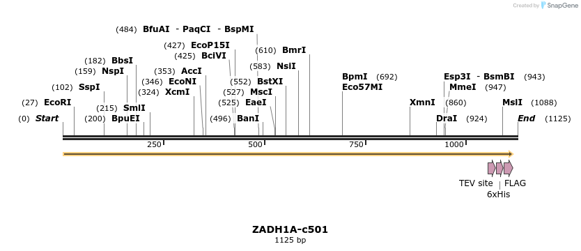 83777_map
