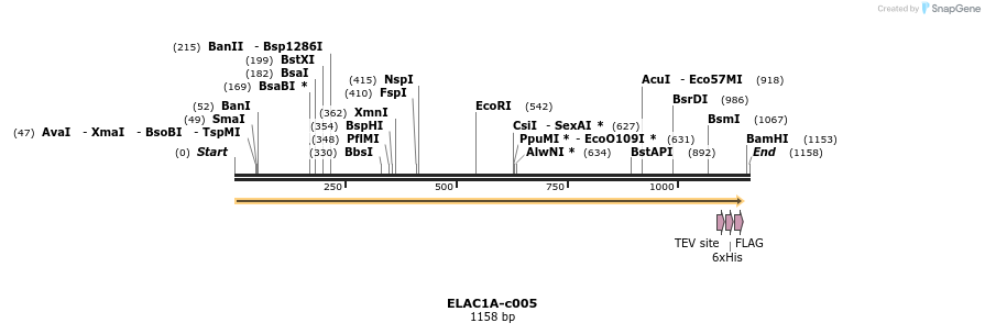 83781_map