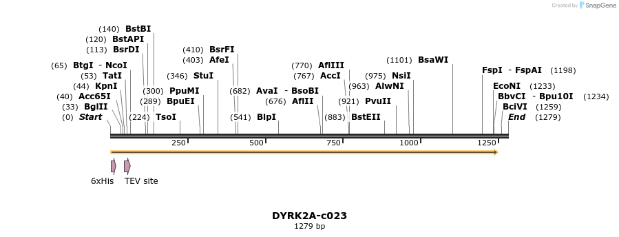 83786_map