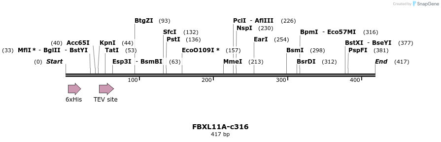 83787_map