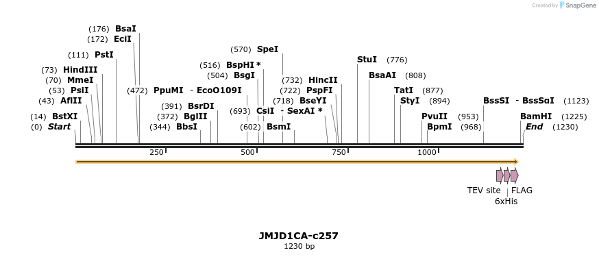 83791_map