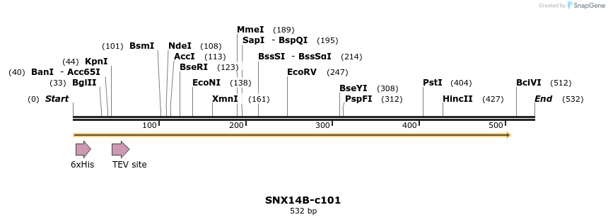 83795_map