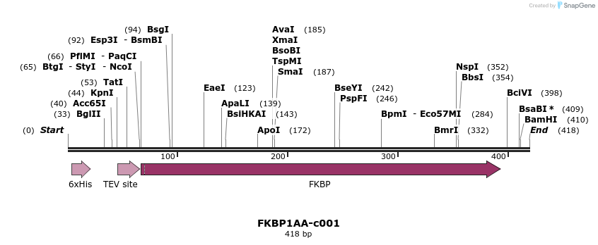 83798_map